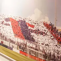 Unipol Domus Stadium Tour