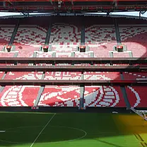 Tickets für Estadio da Luz & Benfica-Museum