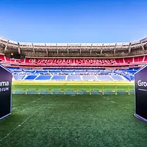 Groupama Stadium : visite guidée VIP du stade + entrée au musée