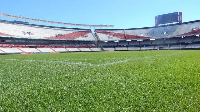 El Monumental: der Rasen