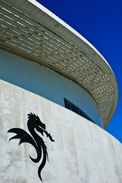 Estádio do Dragão: los colores del club