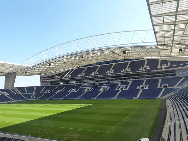 Estádio do Dragão: el interior del estadio