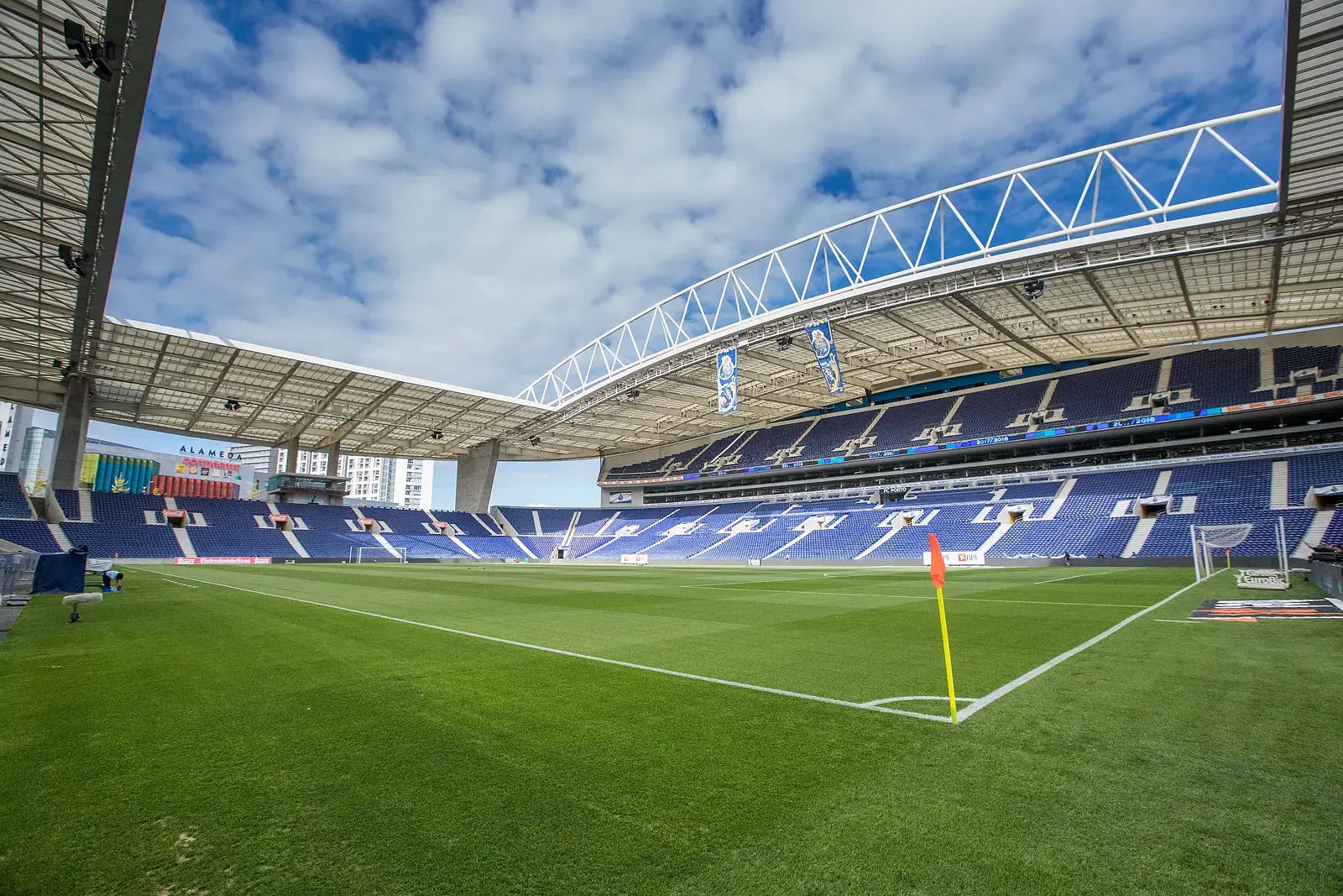 Estádio do Dragão: der Rasen