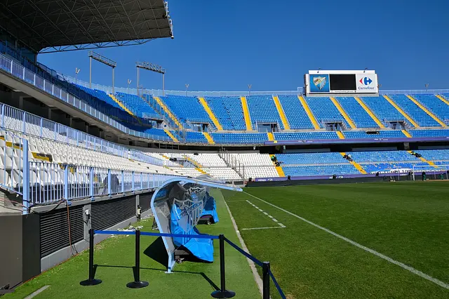Estadio La Rosaleda : la pelouse