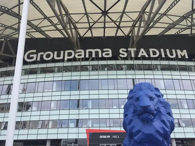 Groupama Stadium : l'entrée du stade