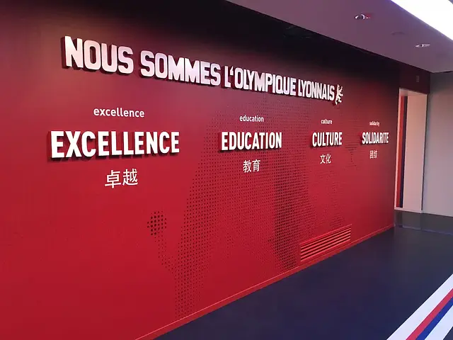 Groupama Stadium : les couleurs du club