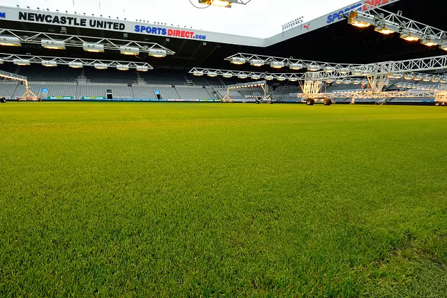 St James' Park : la pelouse