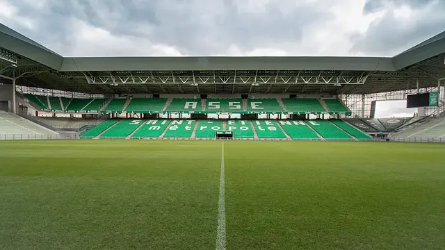 Stade Geoffroy-Guichard : la pelouse
