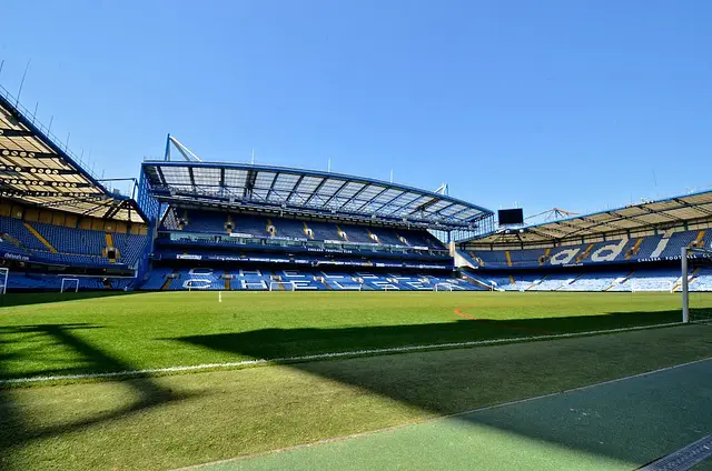 Stamford Bridge: der Rasen
