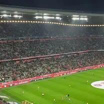 Bayern Munich Football Game Ticket at Allianz Arena