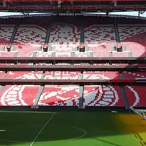 Estádio da Luz & Musée Benfica : Billet d'entrée + offre d'écharpe
